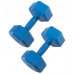Купить Гантель  Springos Hex 2 x 2.5 кг FA1033 в Киеве - фото №1
